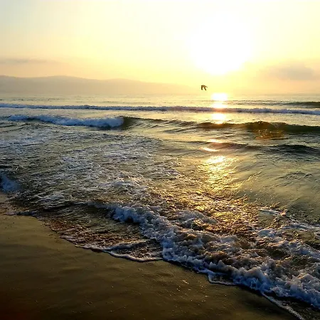 Apartment Apartment Elit IV Sunny Beach *